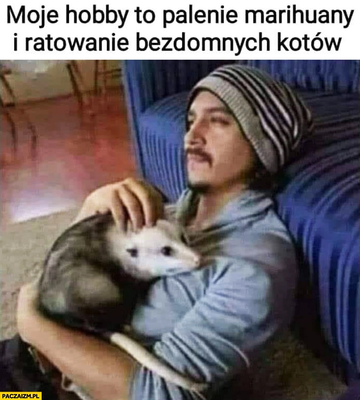Moje hobby to palenie marihuany i ratowanie bezdomnych kotów facet z dziwnym zwierzaczkiem