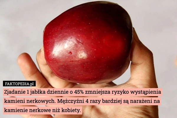 
    Zjadanie 1 jabłka dziennie o 45% zmniejsza ryzyko wystąpienia kamieni nerkowych.
