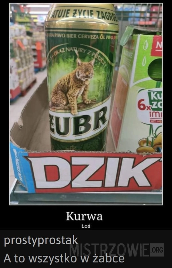 To są zwierzęta które żyją w Polsce