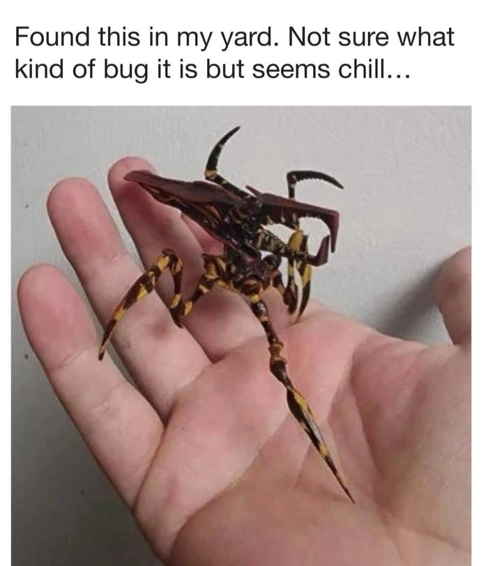 Would you like to know more?