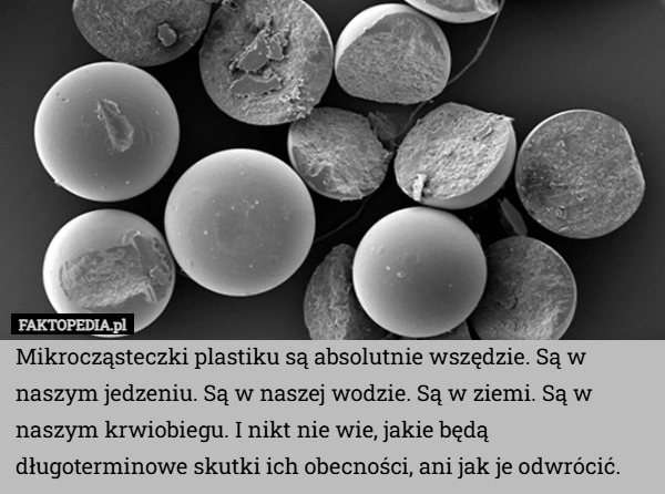 Mikrocząsteczki plastiku są absolutnie wszędzie. Są w naszym jedzeniu. Są