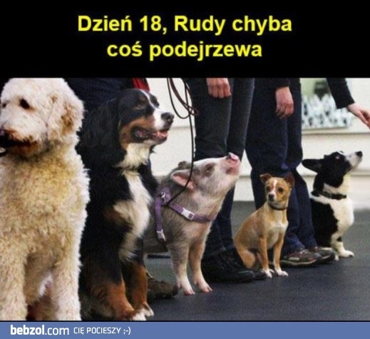 Coś poszło nie tak