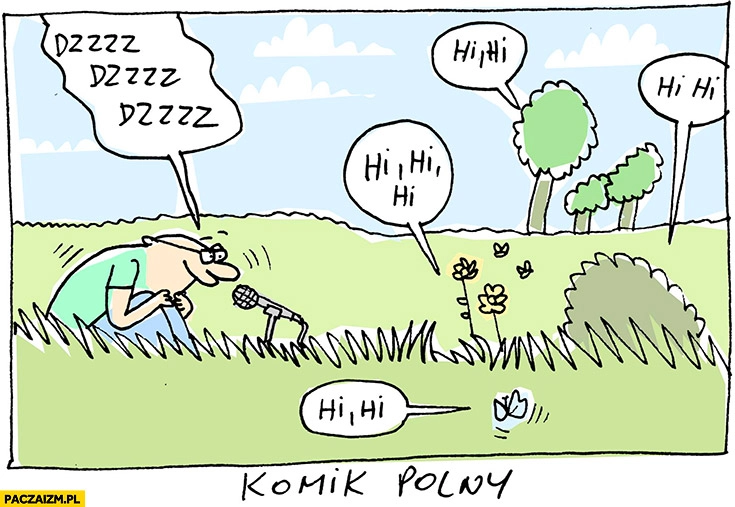 Komik polny Wilq