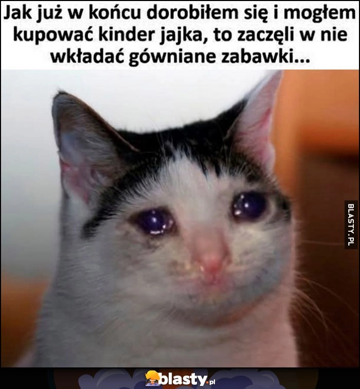 
    Jak już w końcu dorobiłem się i mogłem kupować kinder jajka, to zaczęli w nie wkładać gówniane zabawki kot kotek płacze