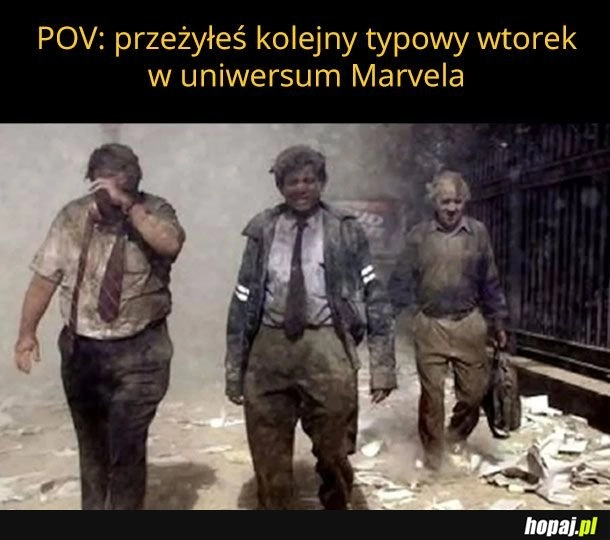 Typowy wtorek