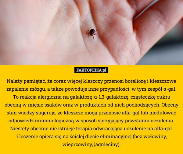 Należy pamiętać, że coraz więcej kleszczy przenosi boreliozę i kleszczowe