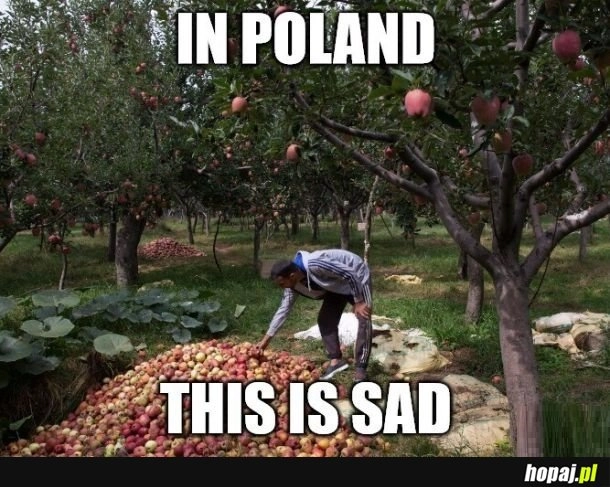 Sad
