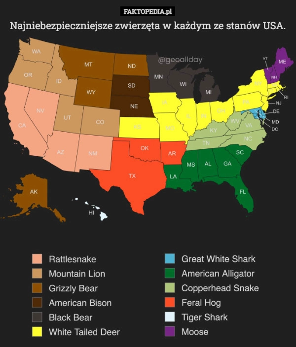 Najniebezpieczniejsze zwierzęta w każdym ze stanów USA.