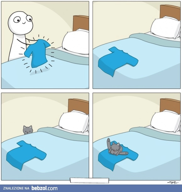 Każdy kociarz zna ten ból