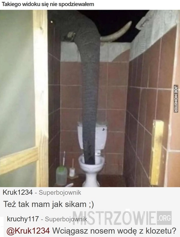 
    Takiego widoku się nie spodziewałem