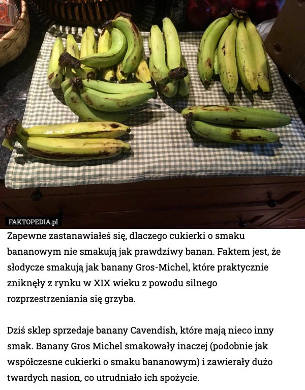 Zapewne zastanawiałeś się, dlaczego cukierki o smaku bananowym nie smakują
