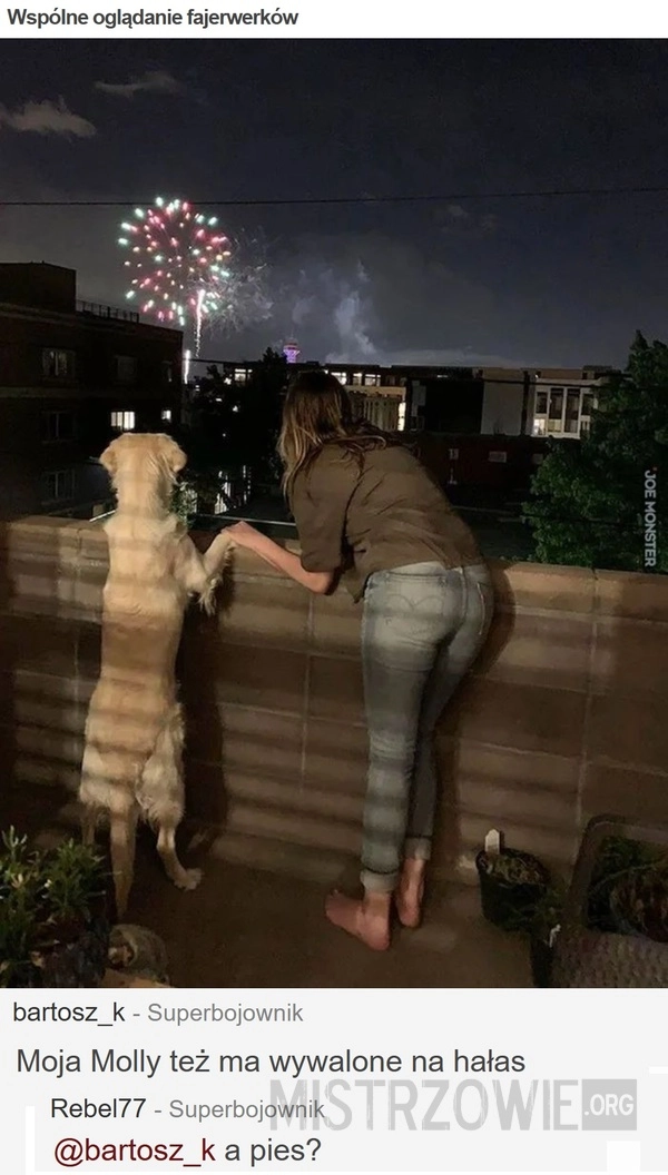 
    Wspólne oglądanie fajerwerków