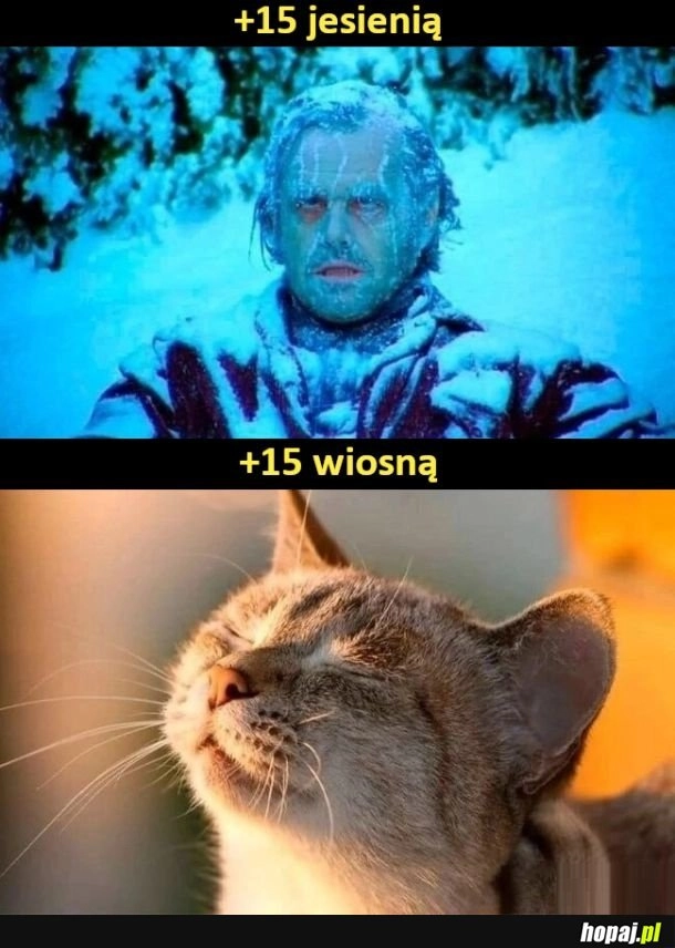 Odczuwalna temperatura