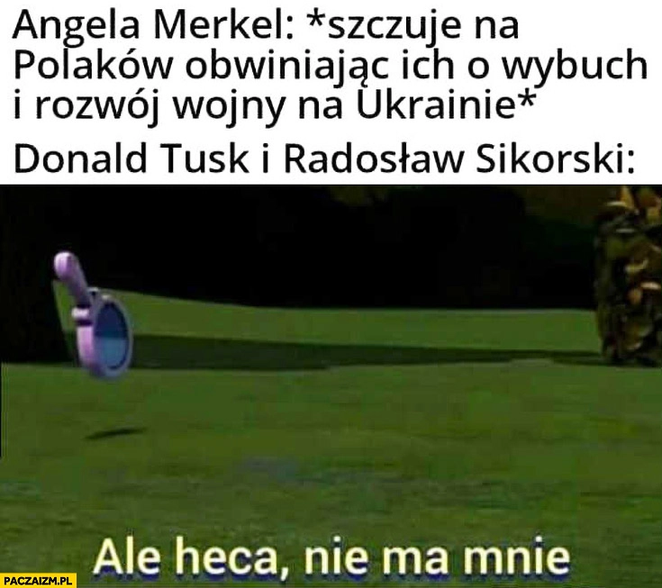 Angela Merkel szczuje na Polaków obwiniając ich o wojnę na Ukrainie, Tusk i Sikorski reakcja ale heca nie ma mnie