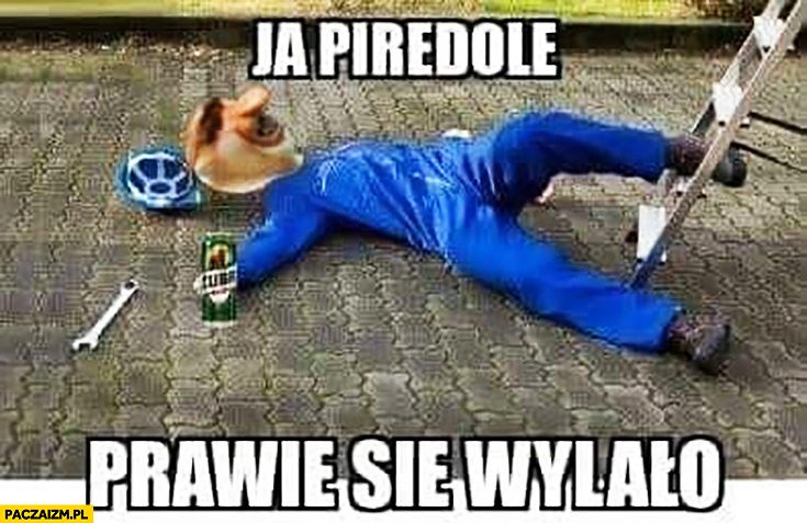 Ja pierdzielę prawie się wylało typowy Polak nosacz małpa spadł z drabiny z piwem