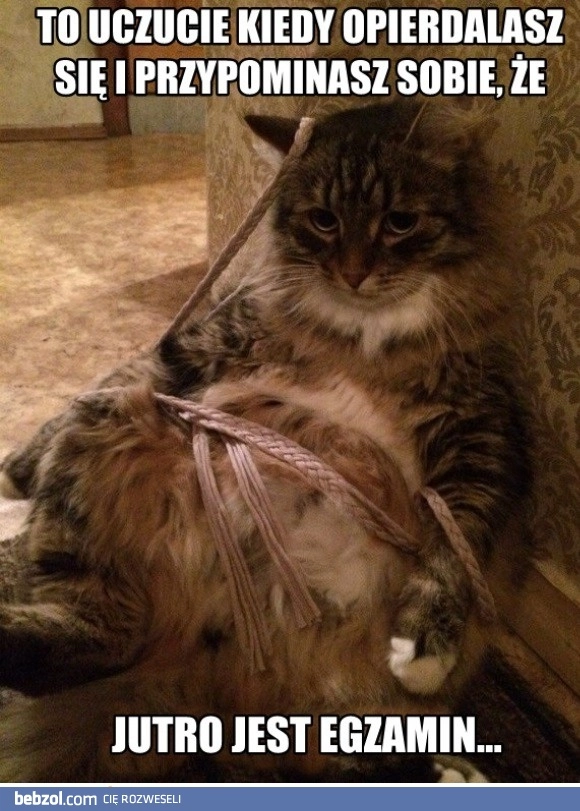 A jutro egzamin 