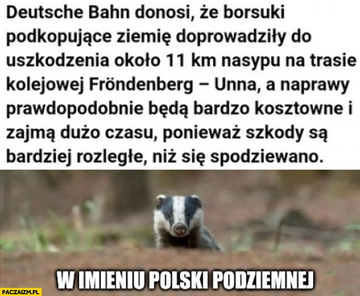 
    Borsuki podkopujące ziemię doprowadziły do uszkodzenia trasy kolejowej w Niemczech w imieniu polski podziemnej