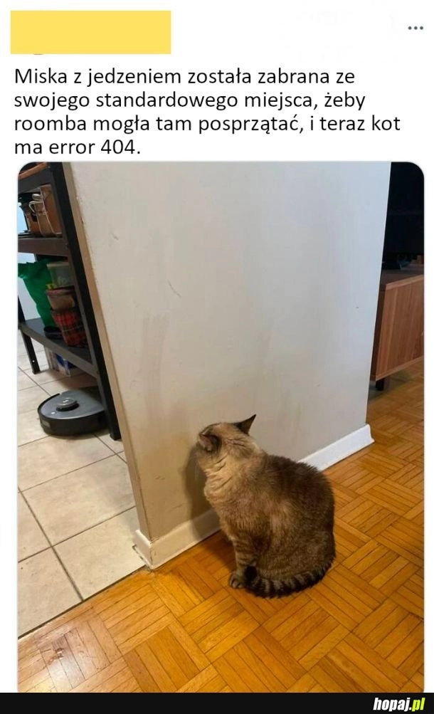 Error 404