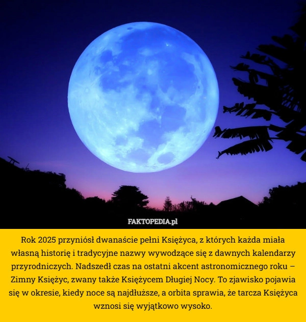 Rok 2025 przyniósł dwanaście pełni Księżyca, z których każda miała własną