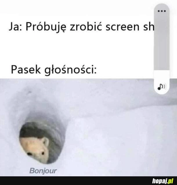 Screen
