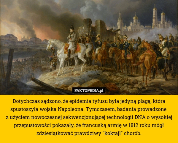 Dotychczas sądzono, że epidemia tyfusu była jedyną plagą, która spustoszyła