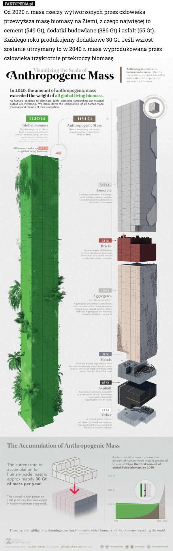 
    Od 2020 r. masa rzeczy wytworzonych przez człowieka przewyższa masę biomasy