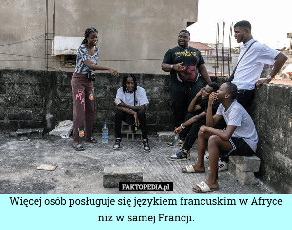 Więcej osób posługuje się językiem francuskim w Afryce niż w samej Francji.