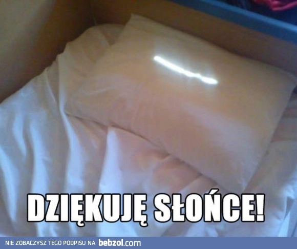 
    Niezłe trafienie