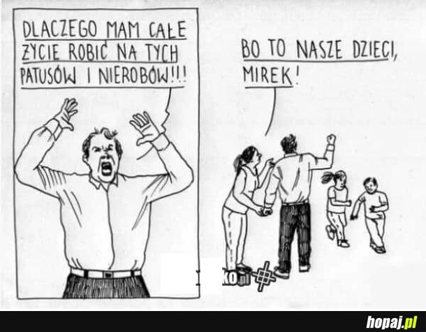 
    Powód
