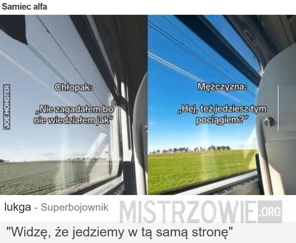 Samiec alfa