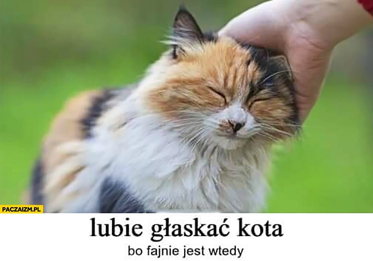 Lubię głaskać kota bo fajnie jest wtedy