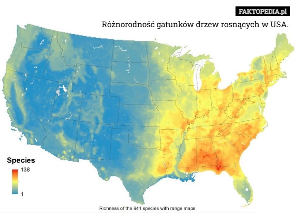 Różnorodność gatunków drzew rosnących w USA.
