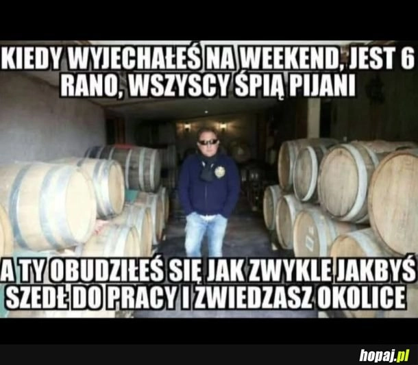 Mózg nie zrozumiał że powinien mieć kaca