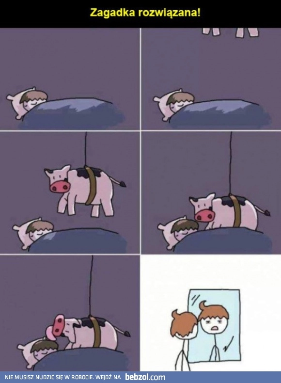 Zagadka rozwiązana 