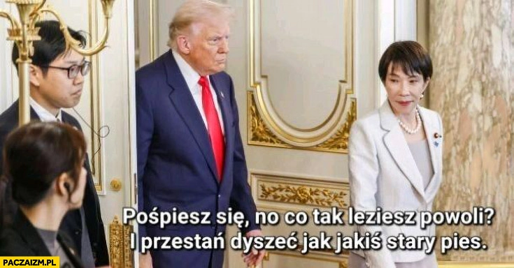 Trump u premier Japonii pospiesz się i przestań dyszeć jak jakiś stary pies