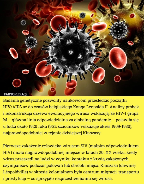 Badania genetyczne pozwoliły naukowcom prześledzić początki HIV/AIDS aż...