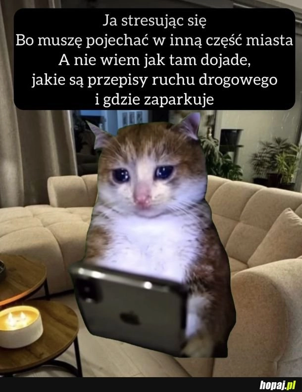 
    Stresik