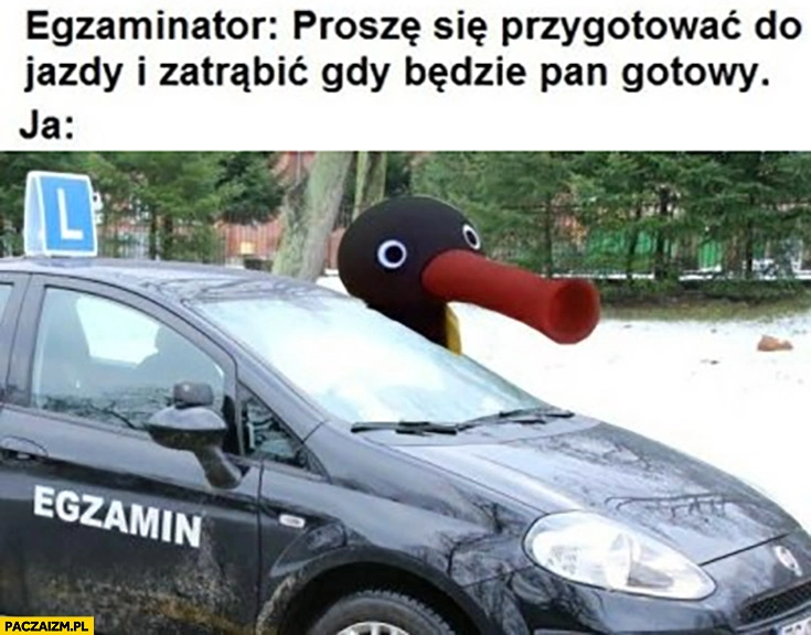 Egzamin na prawo jazdy egzaminator proszę zatrąbić gdy będzie pan gotowy
