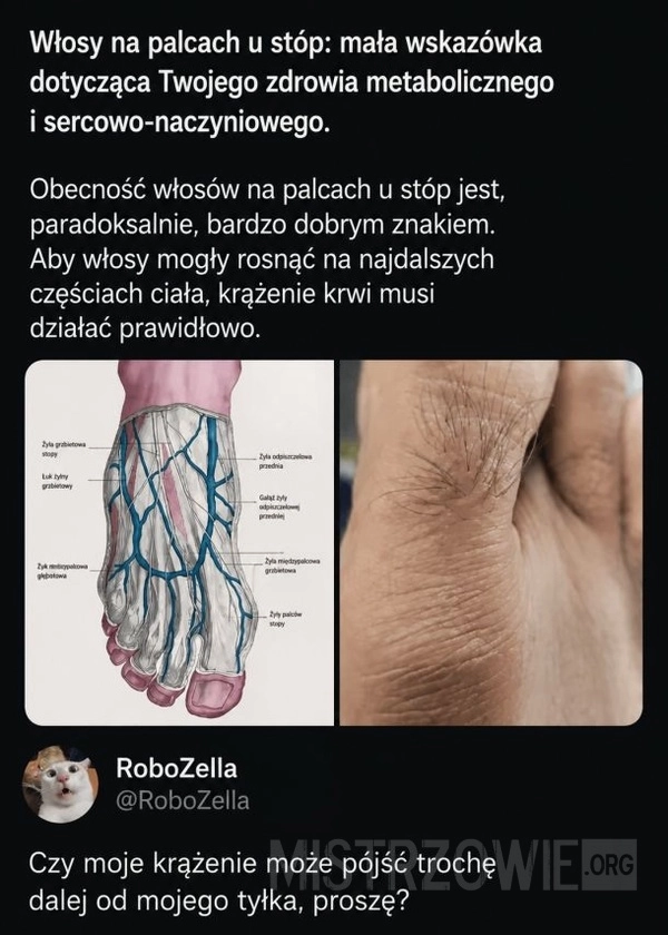 Włosy