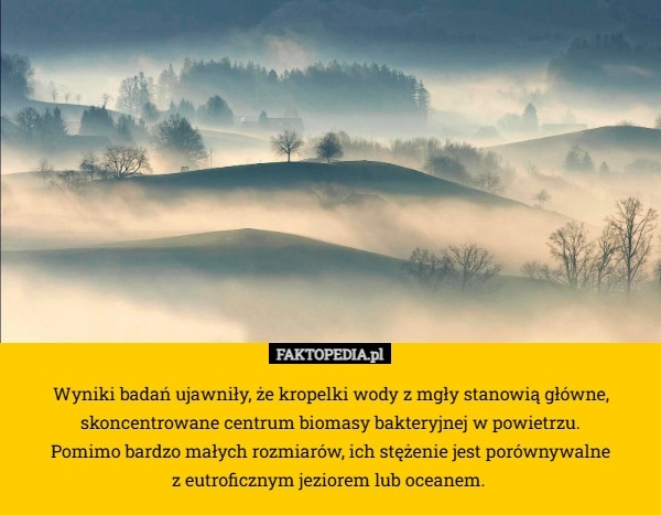 Wyniki badań ujawniły, że kropelki wody z mgły stanowią główne, skoncentrowane