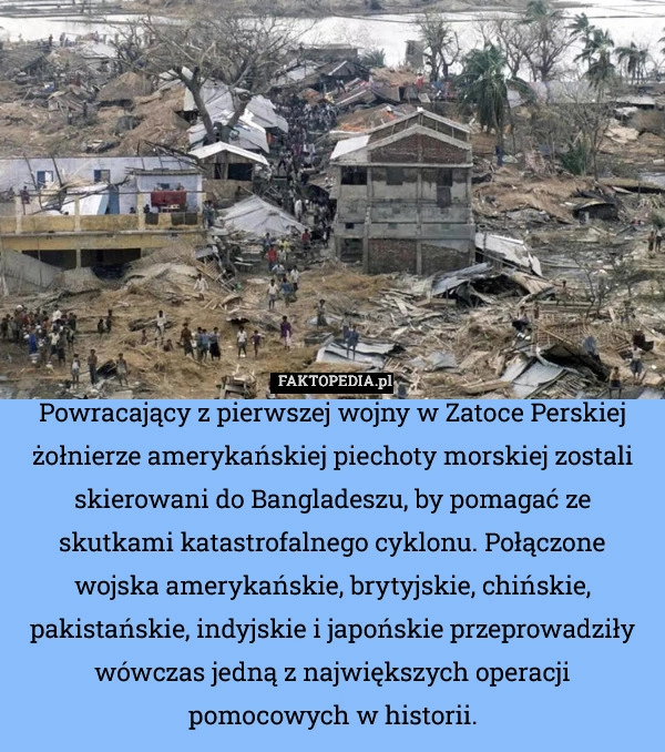 Powracający z pierwszej wojny w Zatoce Perskiej żołnierze amerykańskiej