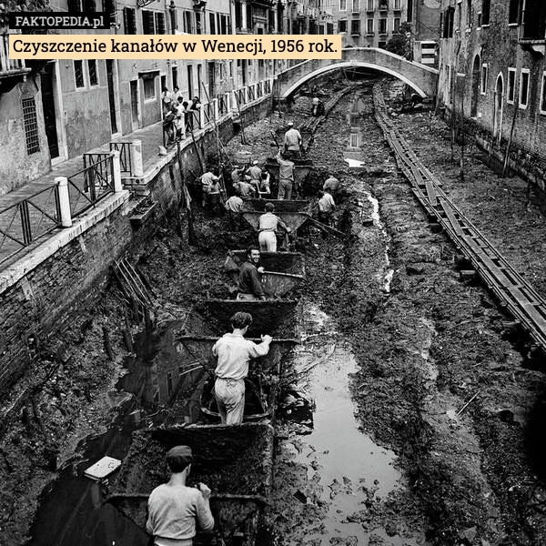 Czyszczenie kanałów w Wenecji, 1956 rok.