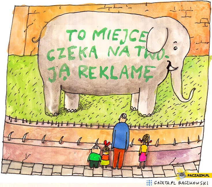 To miejsce czeka na Twoją reklamę słoń Raczkowski