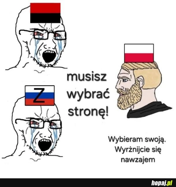 Polak w Polsce gospodarzem