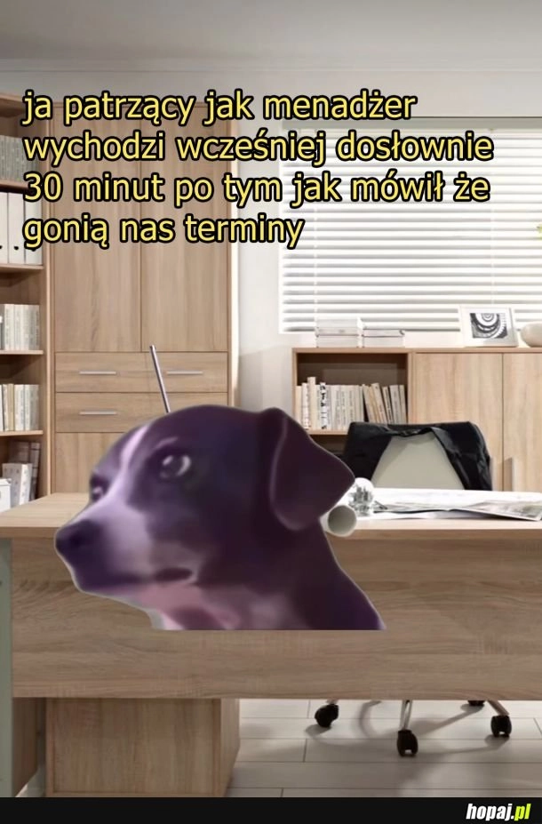 A nie no spoko