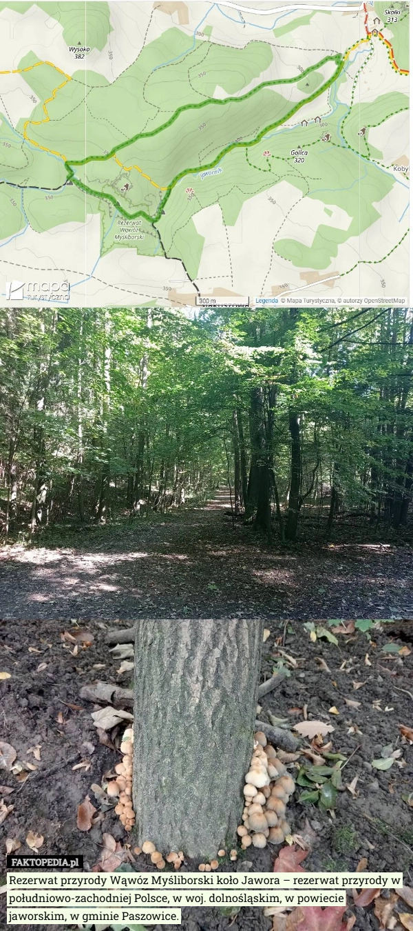 Rezerwat przyrody Wąwóz Myśliborski koło Jawora – rezerwat przyrody w południowo-zachodniej