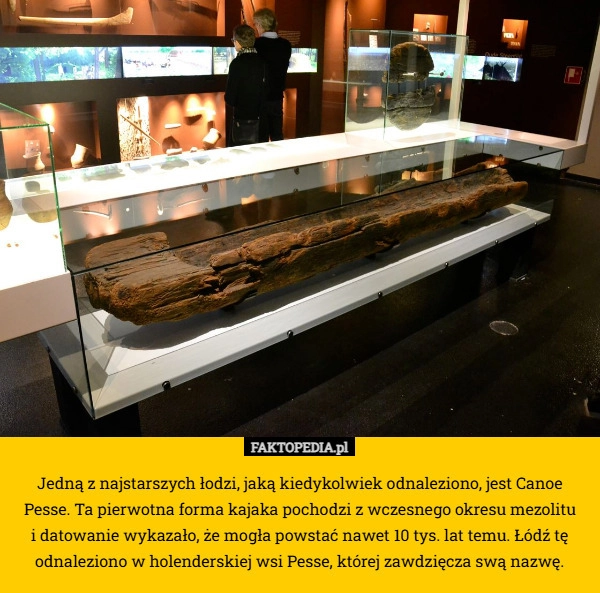Jedną z najstarszych łodzi, jaką kiedykolwiek odnaleziono, jest Canoe Pesse.