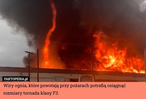 Wiry ognia, które powstają przy pożarach potrafią osiągnąć rozmiary tornada
