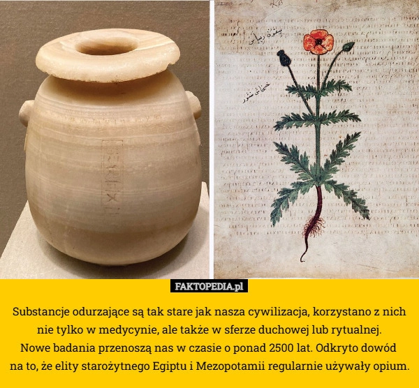 Substancje odurzające są tak stare jak nasza cywilizacja, korzystano z nich