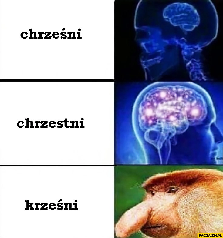 
    Chrześni chrzestni krześni typowy Polak nosacz